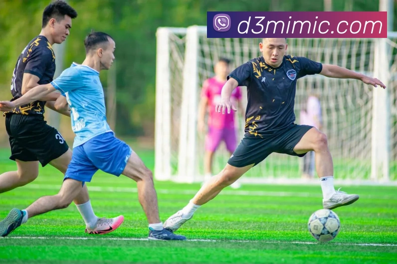 开云体育APP 封面图